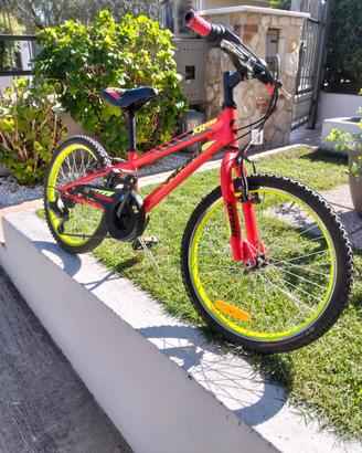 Bicicletta 20pollici