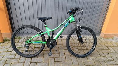 MTB  mountain-bike Alpina da 24