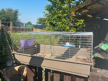 Gabbie conigli / cavie