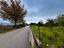 Immagine 7