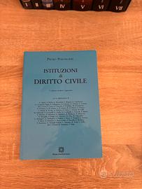 Libro diritto civile