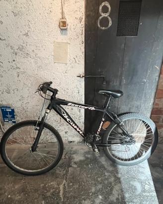 Bici MTB