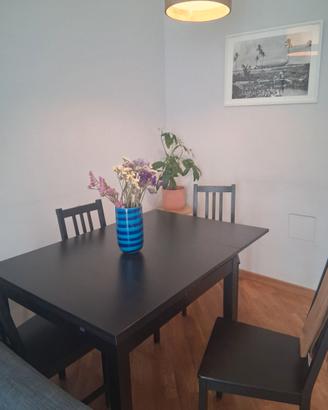 Tavolo ikea e 4 sedie nero