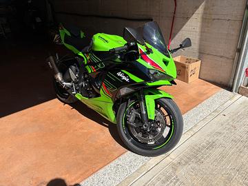 Ninja 636 2024