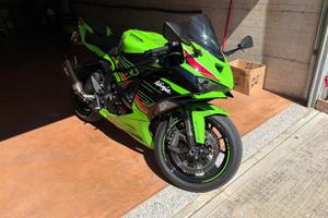 Ninja 636 2024