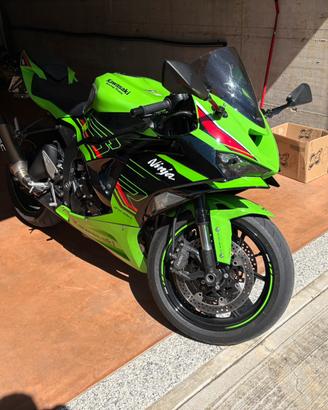Ninja 636 2024
