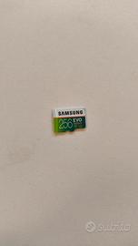 microSD Samsung Evo 256 GB