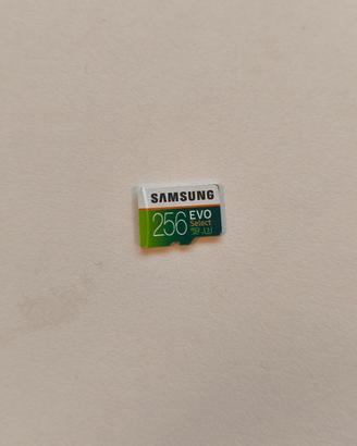 microSD Samsung Evo 256 GB