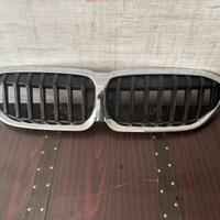Calandra bmw