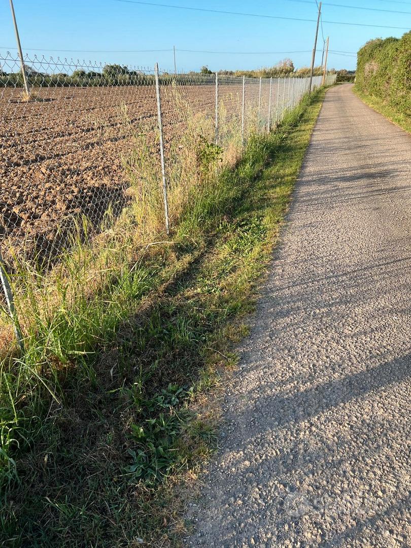Terreno arato e fresato - Vista 2
