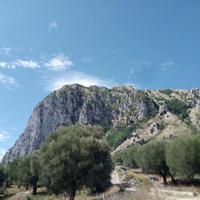 Terreno Agricolo Roccagloriosa