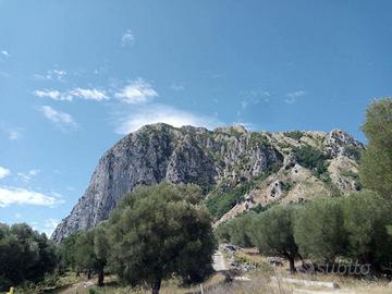Terreno Agricolo Roccagloriosa
