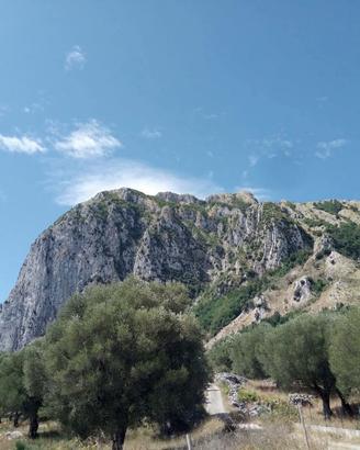 Terreno Agricolo Roccagloriosa