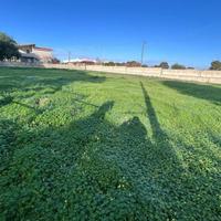 LITORANEA SALENTINA, MARINA DI PULSANO - TERRENI E