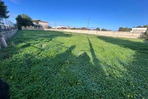 LITORANEA SALENTINA, MARINA DI PULSANO - TERRENI E