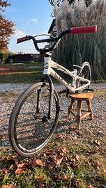 Bicicletta Bmx