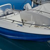 Quicksilver Commander 500