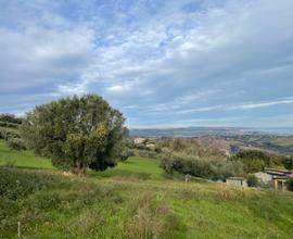 Terreno edificabile vista mare - R36