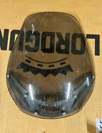 Parabrezza bmw r1150 rs