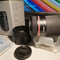 Canon ef s 55-250 mm f 4 5,6
