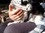 Immagine 4