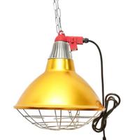 Lampada per cuccioli