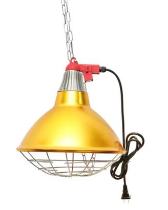 Lampada per cuccioli