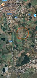 Terreno agricolo a Villasor