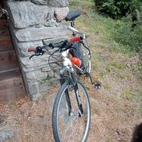 Mountain bike Olmo 