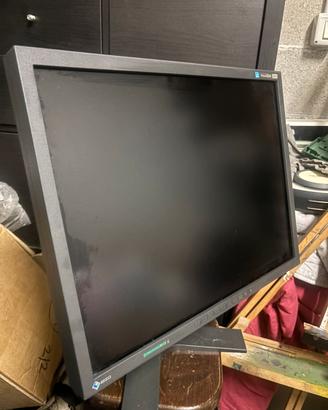 Schermo pc Eizo