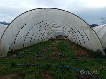 Serre agricole