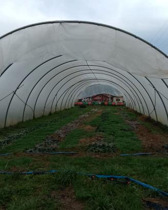 Serre agricole