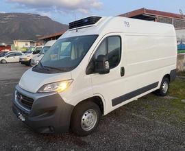 FIAT Ducato 35 2.3 MJT 130CV FRIGO FCRX Autonomo