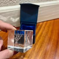 Espositore Mimosa effetto 3D