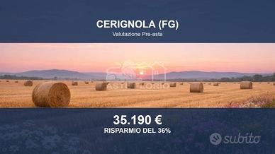 Immobile in asta di 28729 m² a Cerignola