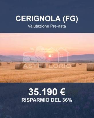 Immobile in asta di 28729 m² a Cerignola