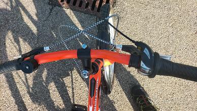 Bici bambino dai 6 minimo ai 10 anni max