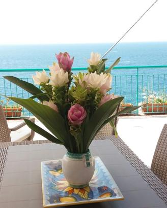 Villa Massa Lubrense sul mare