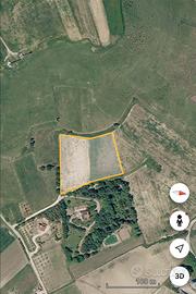 Terreno 0,6 ettari vigneto spalliera c/da Musita