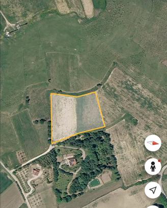 Terreno 0,6 ettari vigneto spalliera c/da Musita