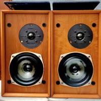 DIFFUSORI MONITOR CELESTION DITTON 11