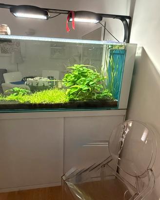 Acquario marino/dolce malberti con angoli a 45º