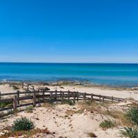 Baia Verde Gallipoli 200m dal mare per 4/6 Posti