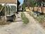 Immagine 26
