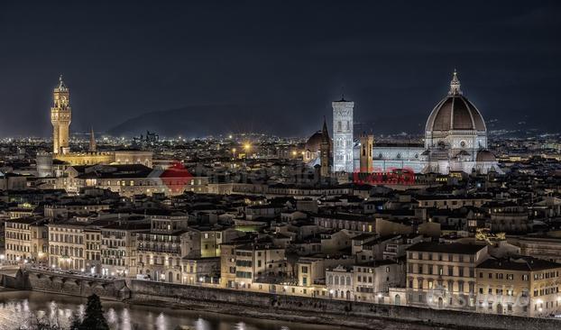 Negozio Firenze [CM010/25YVCG]