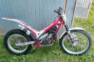 Gas gas 300
