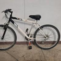 Bicicletta ruota 26