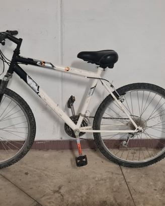 Bicicletta ruota 26