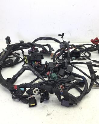 TRIUMPH STREET TRIPLE 675 R 675 CAVI CABLAGGIO MAT