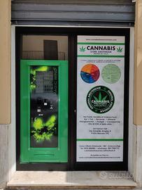 Cannabis shop h24 Attività commerciale Mazara